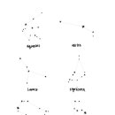 진량동물병원 이미지