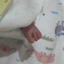 테스피 | 울산 보람병원 경산모의 응급제왕 5박 6일 후기 (보람병원, 리안조리원, 백봉 철학관 택일&작명)