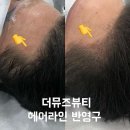 더뮤즈뷰티