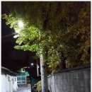 갈바람 Daum카페