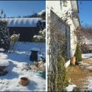 세라의 작은정원 이미지