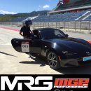 마이개러지 이미지