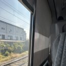 2024 세종보헤미안뮤직페스티벌 양일권으로 세종락페 다녀온 후기