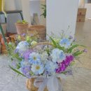 정주화원 이미지