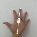(내돈내산)(솔직후기) 동광수산 / 킹타이거 새우장