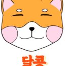 디저트콩콩