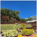 하나로 행정사 이미지