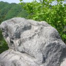 박사리 이미지