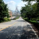 신갈마로-4 이미지