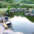 [삼척] 삼척애견펜션 샘터애견펜션 다녀온 후기!