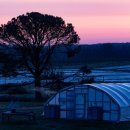 YG Farms 이미지