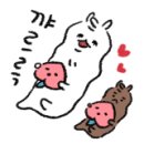 헤세드(hesed) 이미지