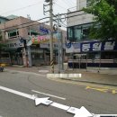 용현동물텀벙이거리 이미지