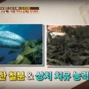 진도건어물 - 오산시 성호새싹길 31 | 진도건어물