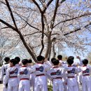 국가대표 금메달 태권도장 이미지