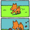 개뼈다구 이미지