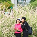 뚝섬한강공원-50 이미지