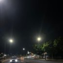 대주문화 | 2026 경주 형산강 연등문화축제 후기 (실망후기ㅠ)