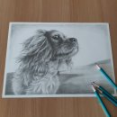 색연필 그리고 연필화 이미지