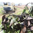 백운면 신규1 이미지