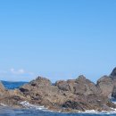 비화항B 이미지