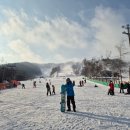 꾹이네 | 휘닉스파크렌탈샵 꾹이네스키렌탈샵 후기