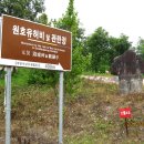 관란정觀瀾亭 이미지