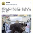 문소개웬 트윗 이미지