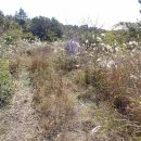 무릉리-5 이미지