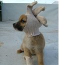 개판오분전 이미지