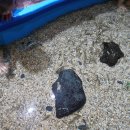 목재문화자연사체험관 이미지