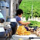 한국기행 -울릉도 이미지