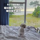 헤이간절곶펜션 | 울산 간절곶 펜션 헤이메르마린 오션뷰 숙소 애견동반 캠핑장