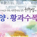 제일해외여행사 이미지