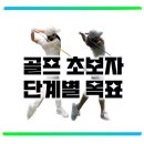 에프와이에스 골프 이미지