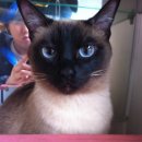 노원-상계-2012 이미지