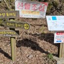 표선면-6 이미지