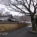 강골민박 이미지