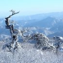 ♡*...사는 이야기 2018년 2월 1일 / 아내의 따뜻한 말 한마디 이미지