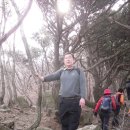 산사랑 이미지
