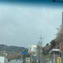 플라워 엘라 | W3) 부산 그랜드모먼트 홀투어 + 엘라홀 계약 후기