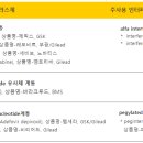 항바이러스제의 병용투여 이미지