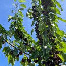 윤경농장 이미지