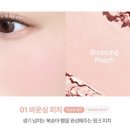 소프트치크