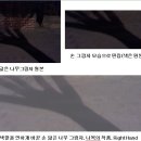 나목(裸木)의 작품, Right Hand["이것은 무엇일까요?"에 대한 수필형 답글] 이미지