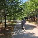 노다지목장 | 서울 인근 아이랑 가기 좋은 양떼목장_무료 양떼목장♥식사까지 해결! (인천 논현동 늘솔길공원 양떼목장)