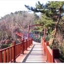 솔마루길 신선산 이미지