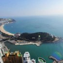 해운대글로벌공인중개사사무소 이미지