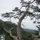 정현상회4