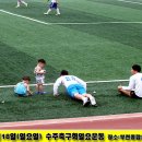 종합운동장 보조구장B 이미지